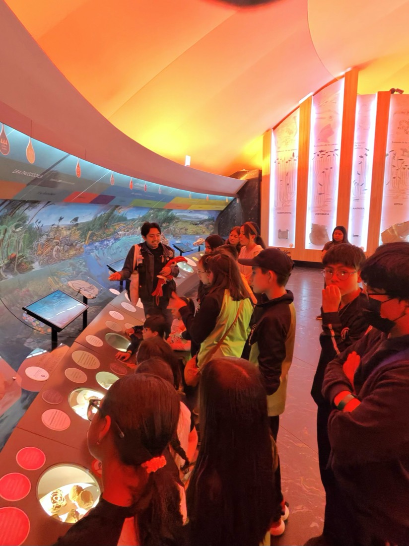 Sala inmersiva con proyecciones de colores
