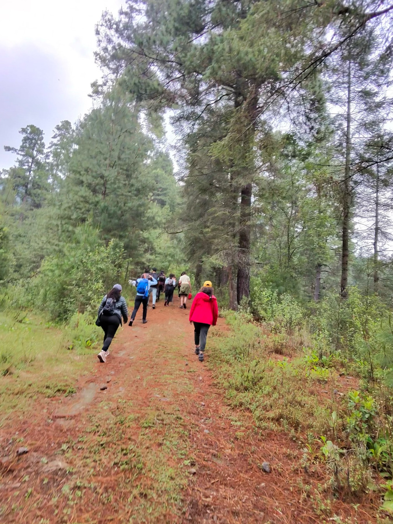 Grupo caminando por un sendero natural hacia su próxima experiencia