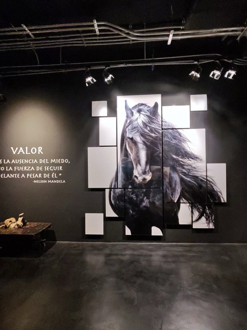 Galería con una gran fotografía artística de un caballo