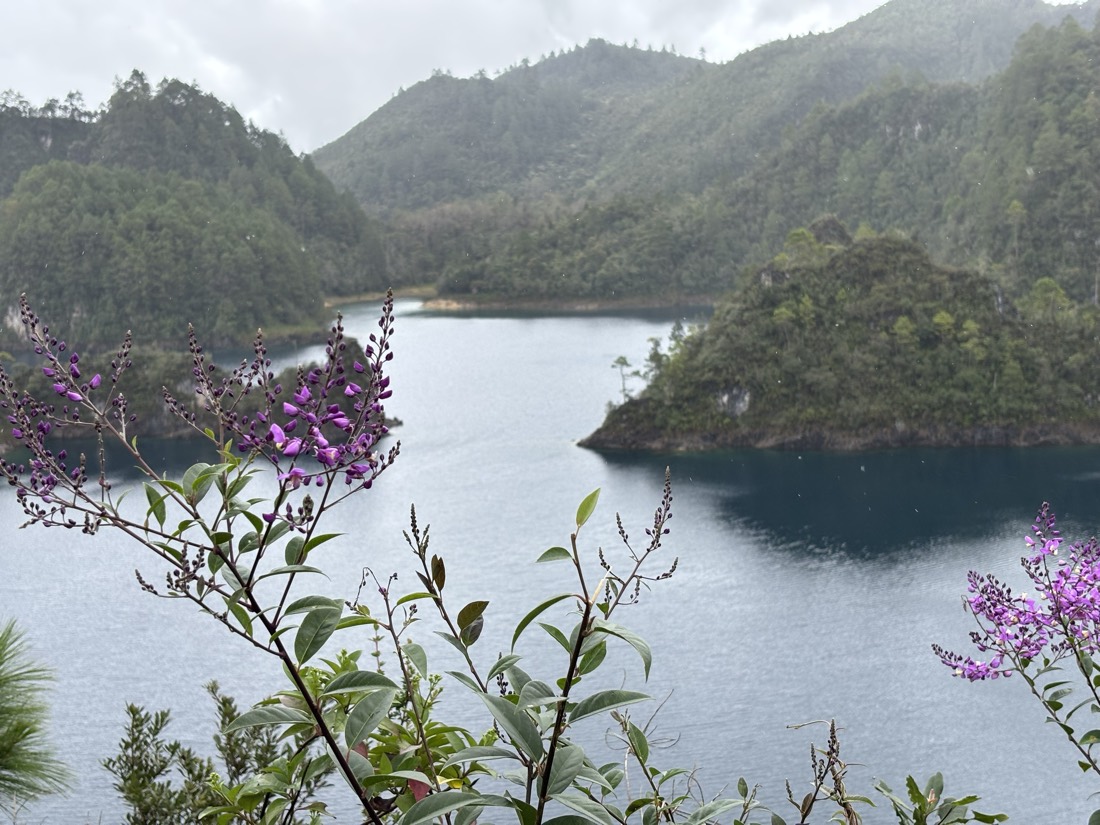 Laguna serena rodeada de vegetación y flores